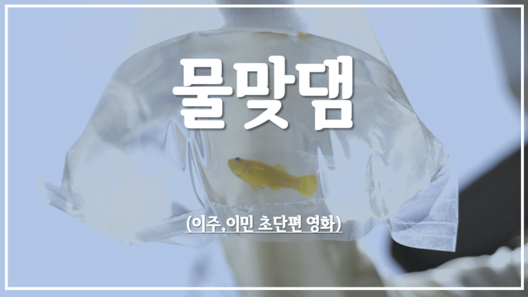 표현하다가 기획 제작한 초단편영화 '물맞댐'의 썸네일. 맑고 푸른 하늘 아래 투명한 비닐봉지에 물이 담긴 작은 노란 물고기가 등장한다.